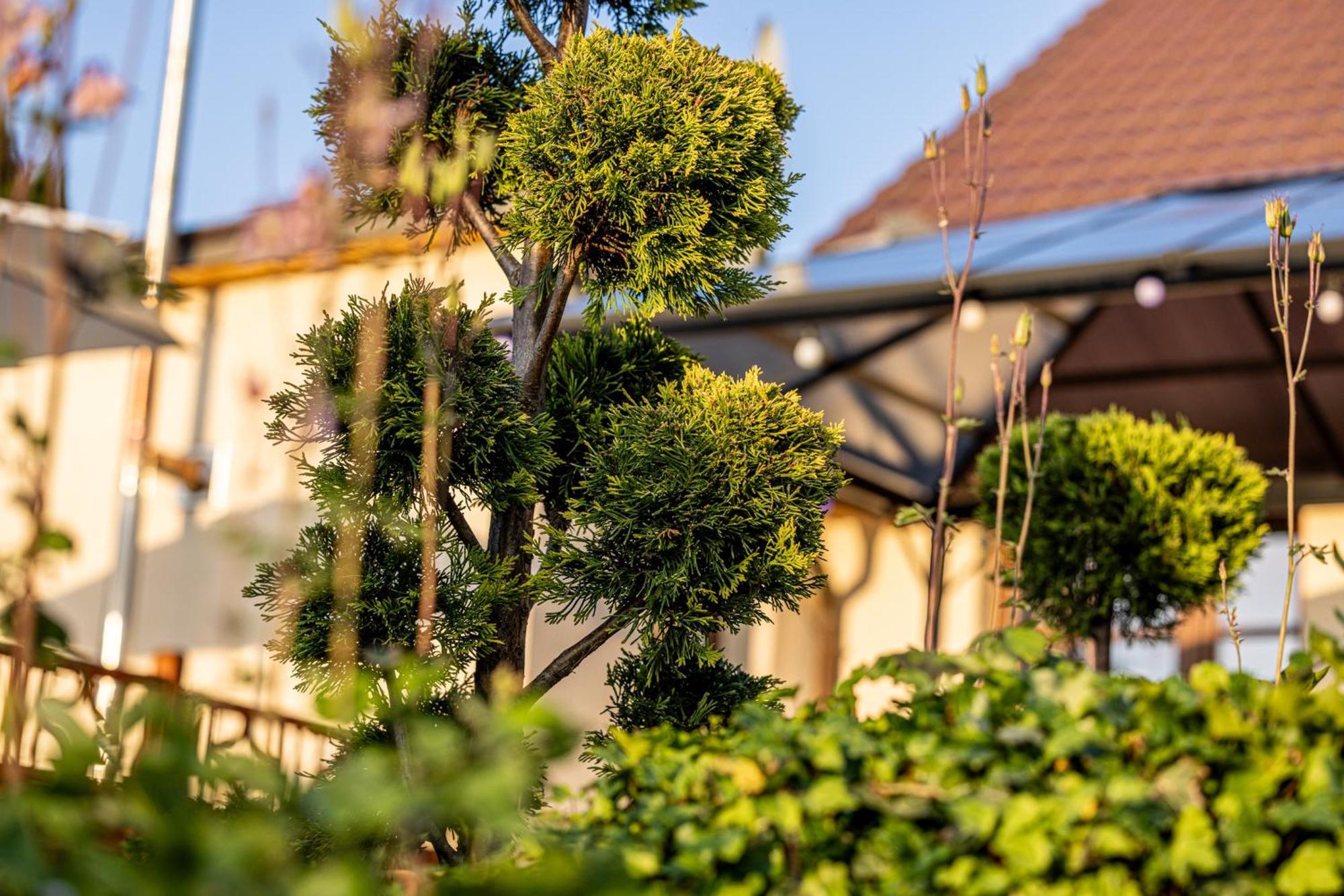 Wellnessparadies Mit Sauna Und Whirlpool Krakow am See Exterior photo